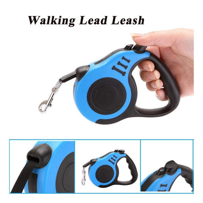 500 cm Dog & Cat Strap Leash — Multicolor Adjustable Pet Lead