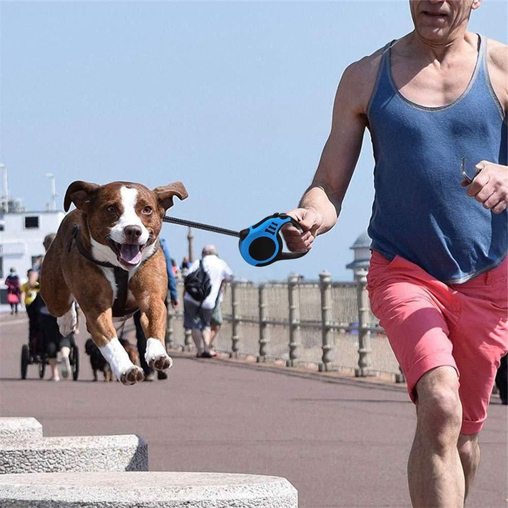 500 cm Dog & Cat Strap Leash — Multicolor Adjustable Pet Lead