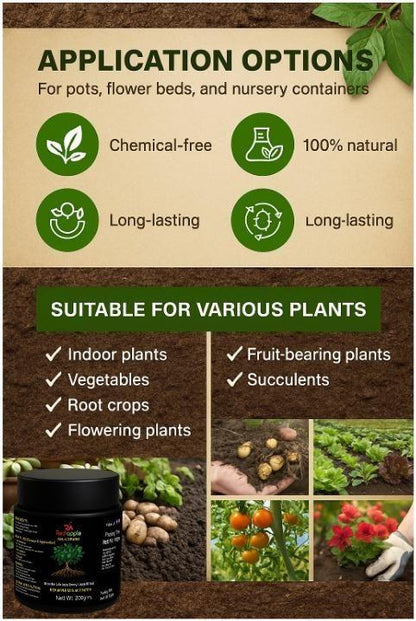 Soil Activator 100 gm Pack of 1