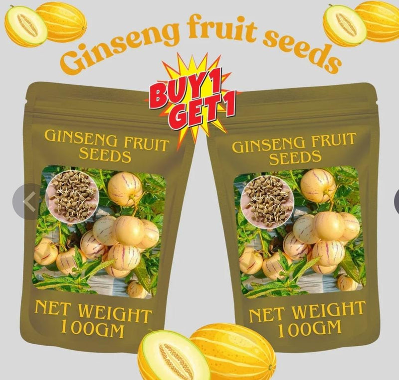 Ginseng fruit seeds