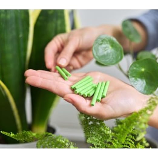 Fertilizer Sticks for Pots Plants ( 25 Sticks )