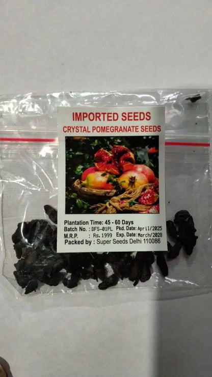 Pomegranate Seeds Pack of 2