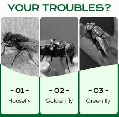 Multi-Scene Fast-Acting Fly Killer (Pack of 1)