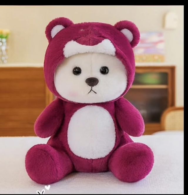 Hoodie Teddy Bear — Cute Stuffed Animal Soft Toy for Kids & Gifting