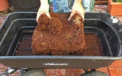 6621