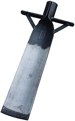 16919