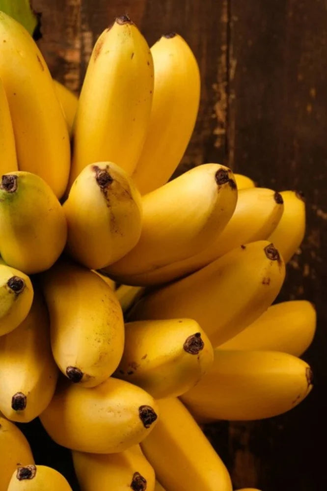 Mini Banana Magica Plant Seeds — Rare Dwarf Variety
