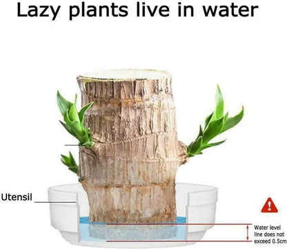 4385
